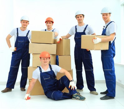 Customer reviewing Sevensisters Storage service terms before booking